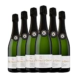 UCSA Castell d'Ordal Brut Cava 75 cl Espumoso blanco (Caja de 6 Botellas de 75 cl)
