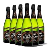 Cava via de la plata - brut nature - Mejor cava reconocido 2023 - Top ventas del año 6 botellas 75cl