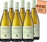 6 x Oremus Mandolás - Vega Sicilia - Envío 24H - Vino Regalo - Cosecha Privada (6 x Botella 75 cl, Oremus Madolás)