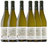 El Coto Verdejo blanco | Vino blanco DOC Rioja | Variedad Verdejo | Fino e Intenso | Caja 6 botellas 750 ml