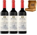 Vino Muriel: análisis y comparativa entre los mejores vinos y bebidas alcohólicas