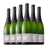 Vintae Francesc Ricart Brut Cava 75 cl Espumoso blanco (Caja de 6 Botellas de 75 cl)