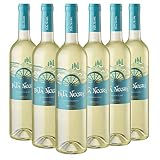 Pata Negra Sauvignon Blanc Vino Blanco D.O Rueda - Caja de 6 Botellas x 750 ml