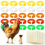 100 Piezas Anillos para las Piernas de Pollo (5 Colores, 14 a 22 mm)