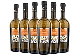 CANTINA TENUTA ULISSE PECORINO Terre DI CHIETI 2023 IGP 75 CL 6 BOTTIGLIE