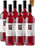 Enate Rosado - Envío 24 H - Caja de 6 Botellas - Mejor Vino Rosado de España - Somontano- Seleccionado y enviado por Cosecha Privada
