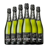 Vallformosa Origen Brut Nature Cava Joven 75 cl Espumoso blanco (Caja de 6 Botellas de 75 cl)