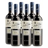 Vino Tinto Viña Salceda Reserva de 75 cl - D.O. La Rioja - Bodegas Chivite (Pack de 6 botellas)