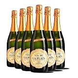 Via de la Plata - Cava Semiseco - Mejor Cava Extremeño - Ideal Combinarlo con Postres y Celebraciones - Pack 6 Botellas 75cl