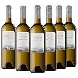 **Comparativa de los Mejores Vinos Blancos del Penedès: Análisis y Recomendaciones**