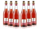 Sant'Orsola Lambrusco Emilia IGT Vino Rosè Seco Italiano - 6 Botellas X 750ml