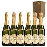 Cava Vía de la Plata Semiseco - Para Disfrutar en Celebraciones y con los Tuyos - Pack 6 Botellas 75cl