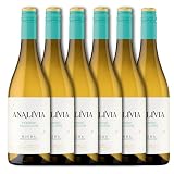 Analivia Verdejo Selección Blanco D.O. Rueda - Paquete de 6 x 750 ml - Total: 4500 ml