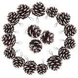 TRIXES Decoraciones de árbol de Navidad - 18PC Conos de Pino Colgantes - Guirnalda de Navidad - Nieve Falsa Tielada - Corona de Navidad Haciendo Suministros - Baubles de Navidad