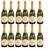 Cava Via Plata Semiseco - Mejor Cava 2023- Vino Espumoso de Bodegas Españolas - 750ml - Notas Frutales y Refrescantes - Ideal para Celebraciones y Maridajes - Pack 12 Botellas