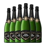 Vía de la Plata Brut Cava 75 cl Espumoso blanco (Caja de 6 Botellas de 75 cl)