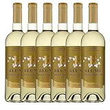 Blume Verdejo Selección D.O. Rueda Vino - Paquete de 6 x 750 ml - Total: 4500 ml