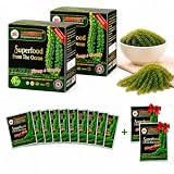 Longevity Uvas de mar - Umibudo verde Caviar -Dehydrated, pérdida de peso, impulsar el sistema inmunológico, valorado Regalo De Mar, 8.5 onzas de 12 paquetes (original, 240g)