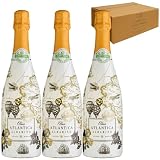 Vino Atlántica Blanco: Análisis y Comparativa de los Mejores Vinos Blancos