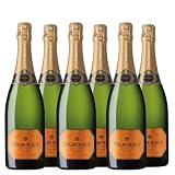Parxet Cuvée 21 Ecológico - Cava Brut - 75cl (Paquete de 6)