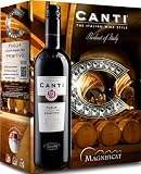 Canti - Primitivo I.G.T. Puglia, vino tinto, sabor dulce y redondo con notas de moras y flores rojas, envases a granel Bag in Box de 3 l (1 x 3 L)
