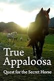 El Auténtico Appaloosa