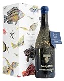 Crusoe Treasure Sea Soul Nº 8 - vino submarino - vino tinto - estuche regalo de 1 botella 750ml - Cata online gratuita incluida