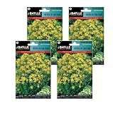 SEMILLAS BATLLE Pack 4 Semillas de hierba de san juan hypericum de Semillas Batlle PACK (4)