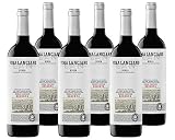 Vino Tinto Lan Viña Lanciano Reserva Especial (D.O.Ca.Rioja) - 6 botellas de 750 ml - Total: 4500 ml