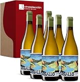 Orballo 2025 Vino Blanco Albariño D.O. Rías Baixas 6 Botellas x 75 cl