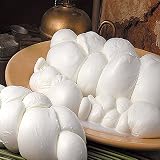 Trenzado Mozzarella di Bufala 500 Gr.