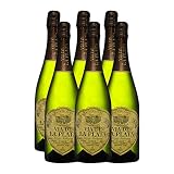 CAJA 6 UN. VIA DE LA PLATA CAVA CHARDONNAY BRUT NATURE