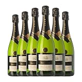 Perelada Vintage Brut Nature Cava Reserva 75 cl Espumoso blanco (Caja de 6 Botellas de 75 cl)