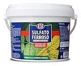 Sulfato Ferroso - Cubo 1,5 kg
