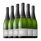 Vintae Francesc Ricart Brut Cava Reserva 75 cl Espumoso blanco (Caja de 6 Botellas de 75 cl)