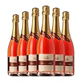 Perelada Rosé Brut Cava 75 cl Espumoso rosado (Caja de 6 Botellas de 75 cl)