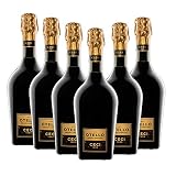 6 bt x 0,750 l - Emilia IGT Nero di Lambrusco Otello Cantine Ceci - Vino tinto de Italia