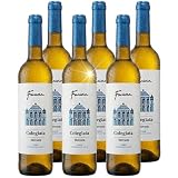 Vino Blanco Colegiata Malvasía de Fariña – Pack 6 Botellas x 75cl | DO Toro | Blanco Joven, Fresco y Vibrante | Ideal para Pescado, Barbacoas veraniegas y Momentos con Amigos