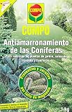 COMPO Antiamarronamiento de coníferas de larga duración, Para todo tipo de coníferas y plantas de hoja perenne, 6 meses de duración, 1 kg