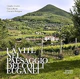 La vite nel paesaggio dei Colli Euganei. Cenni storici, elementi visivi del vigneto, distretti e percorsi vinicoli